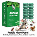 (🎁Last Day 50% OFF)🌿Natural Peppermint Rodent Repellent Balls (12 Pack) – Keep Rats, Mice & Pests Away Safely