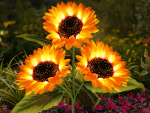 🌻Mother's Day Sale 49% OFF- 🌞Solar LED Sunflower Garden Lights