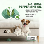 (🎁Last Day 50% OFF)🌿Natural Peppermint Rodent Repellent Balls (12 Pack) – Keep Rats, Mice & Pests Away Safely